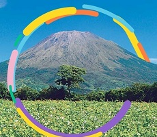 Actualizar informacion Banca Movil