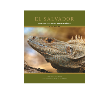 Libro fauna silvestre del rincon magico