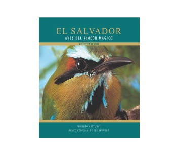 libro aves del rincon magico