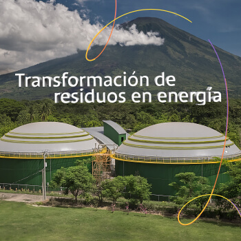 grupo campestre acciones que hablan bancoagricola
