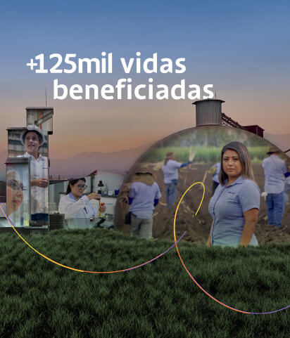 grupo cassa